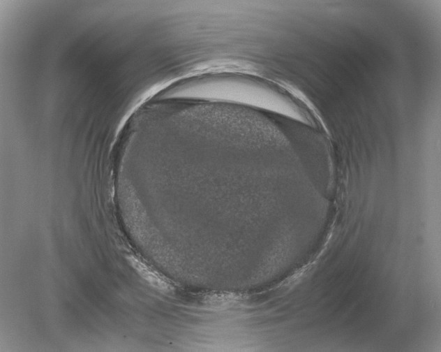 X0000078860973200612041928