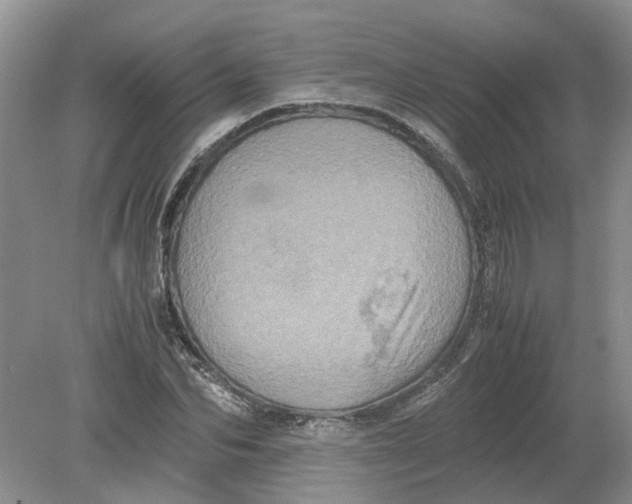 X0000078860974200612041928