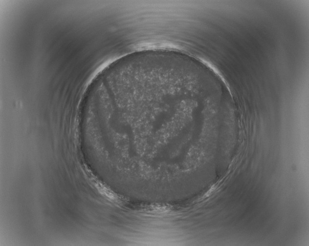 X0000078860975200612041928