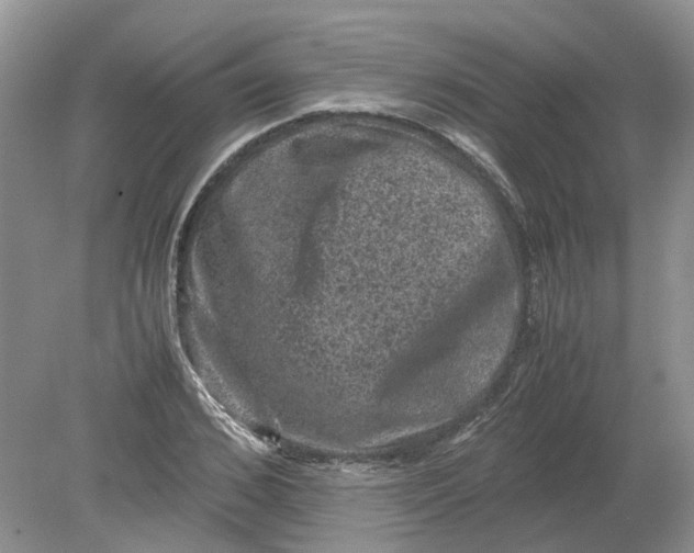 X0000078860976200612041928