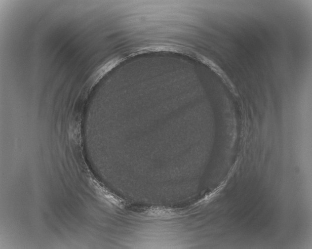 X0000078860977200612041928