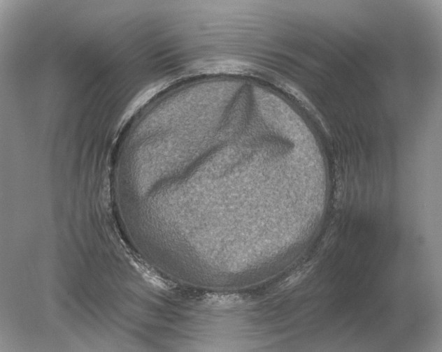 X0000078860978200612041928