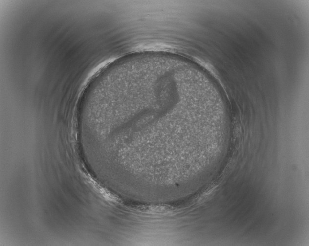 X0000078860979200612041928