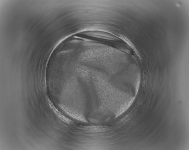 X0000078860980200612041928