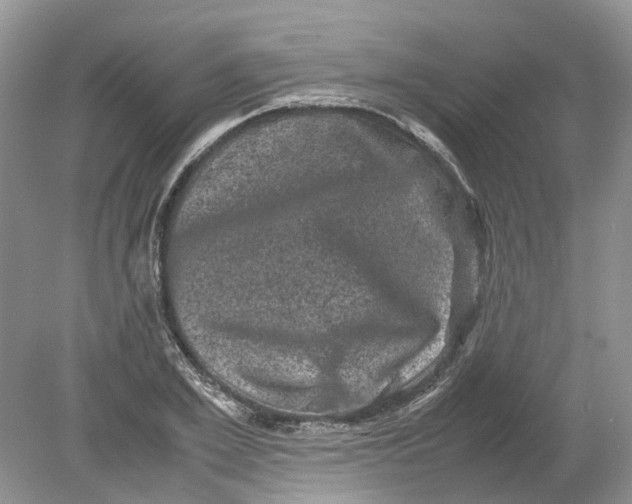 X0000078860981200612041928