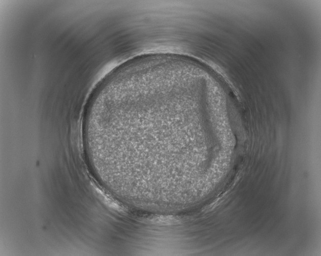 X0000078860982200612041927