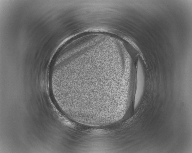 X0000078860984200612041927