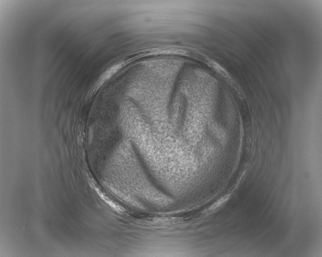 X0000078860985200612041927