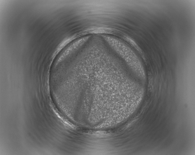 X0000078860986200612041927