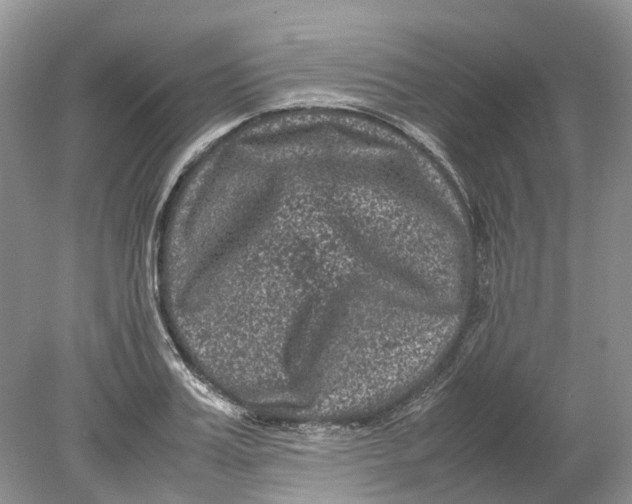 X0000078860987200612041927