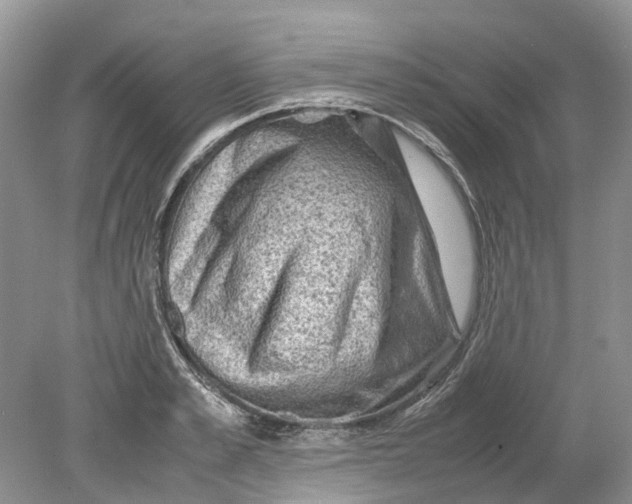 X0000078860989200612041927