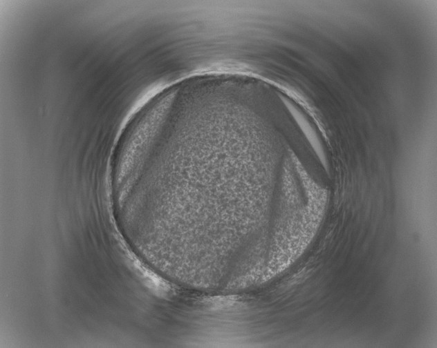 X0000078860990200612041927