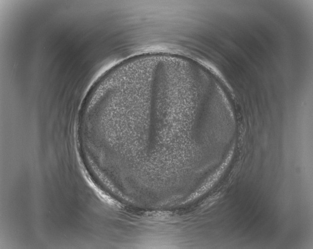 X0000078860991200612041927