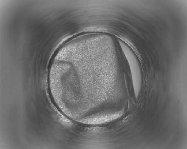 X0000078860992200612041927