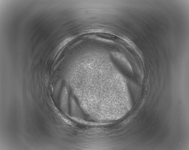 X0000078860993200612041927