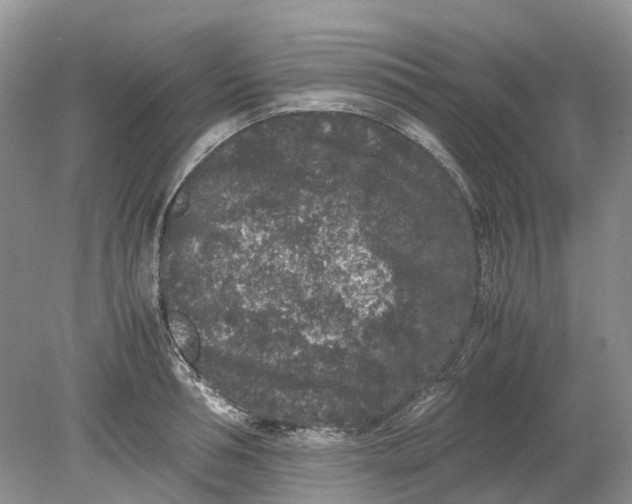 X0000078860994200612041927