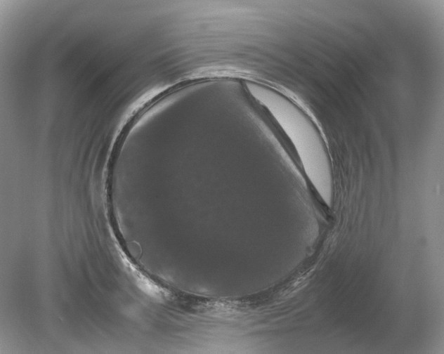 X0000078860995200612041927