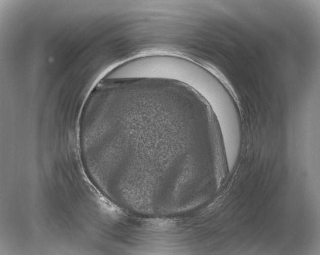 X0000078860996200612041927