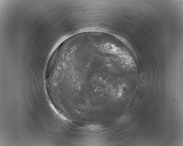 X0000078860998200612041927