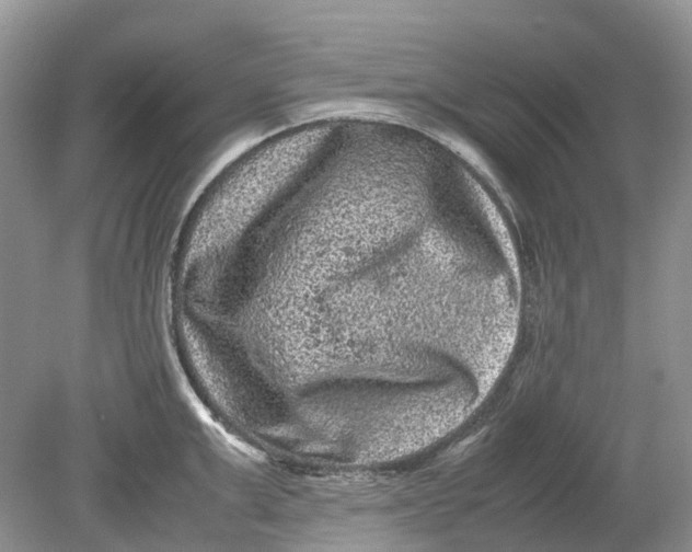 X0000078860999200612041927