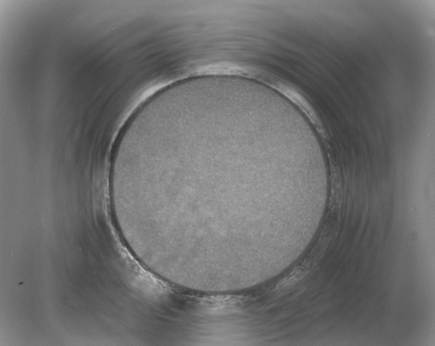 X0000078861000200612041927