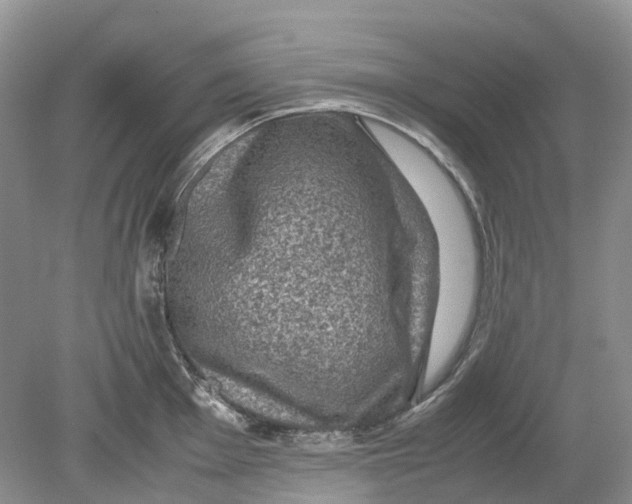 X0000078861001200612041927