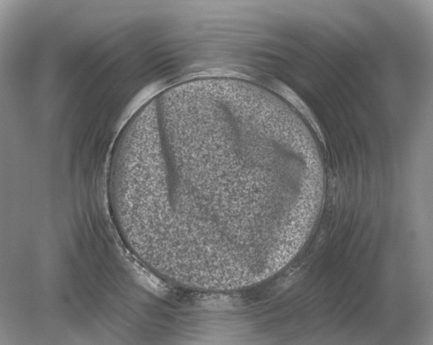 X0000078861002200612041927