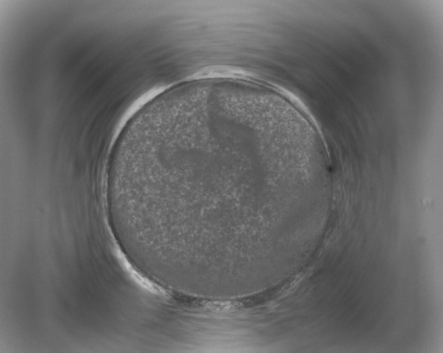 X0000078861003200612041927