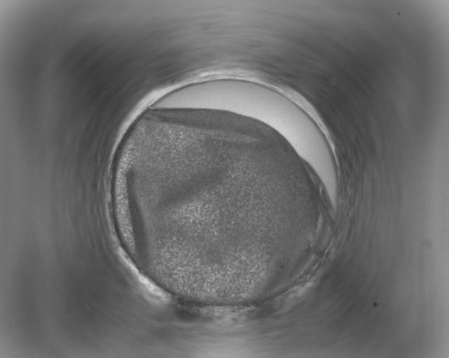 X0000078861005200612041927