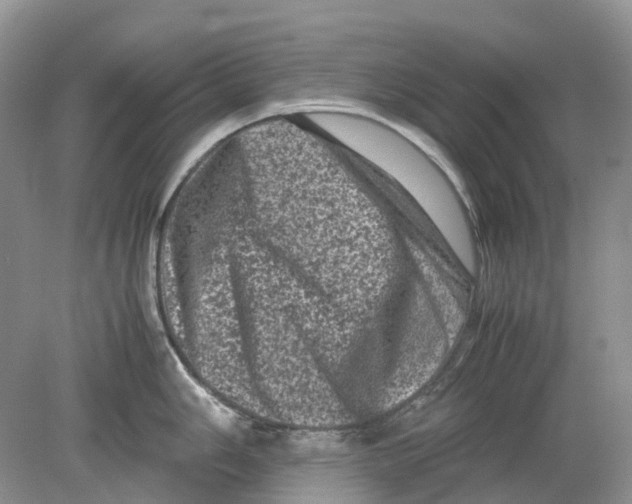 X0000078861006200612041927