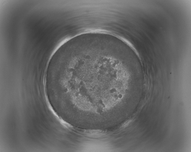 X0000078861007200612041927