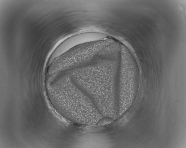 X0000078861008200612041927