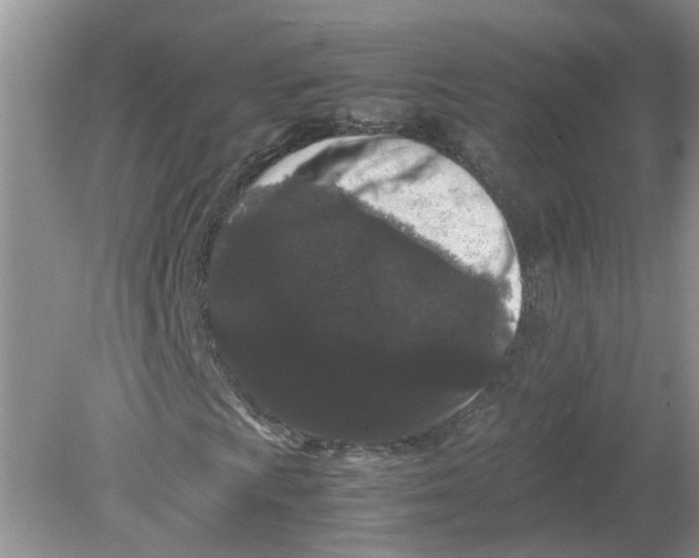 X0000078861009200612041926