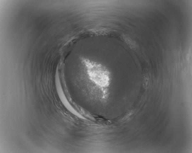 X0000078861010200612041926