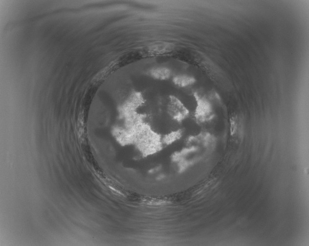 X0000078861011200612041926