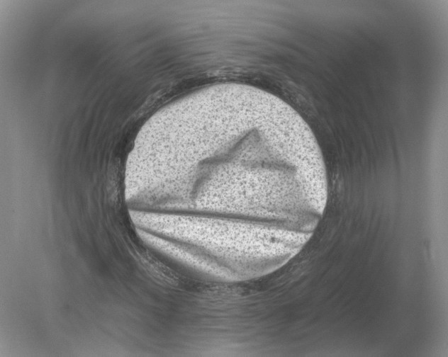 X0000078861012200612041926