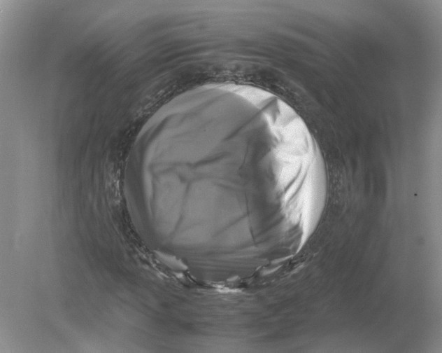 X0000078861013200612041926