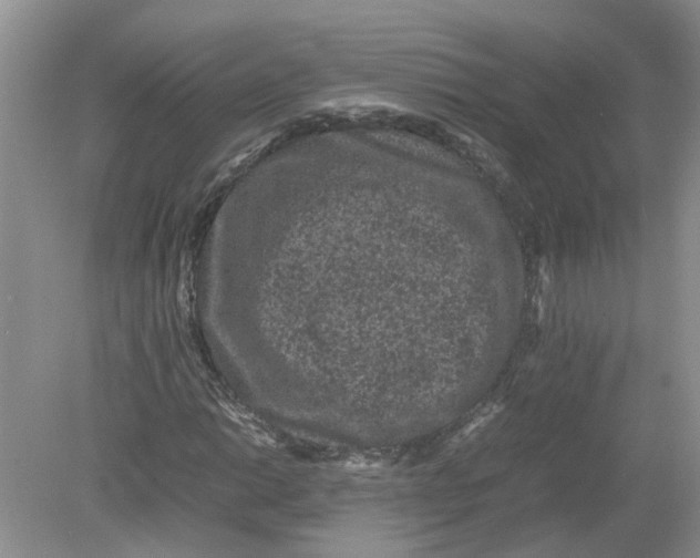 X0000078861014200612041926