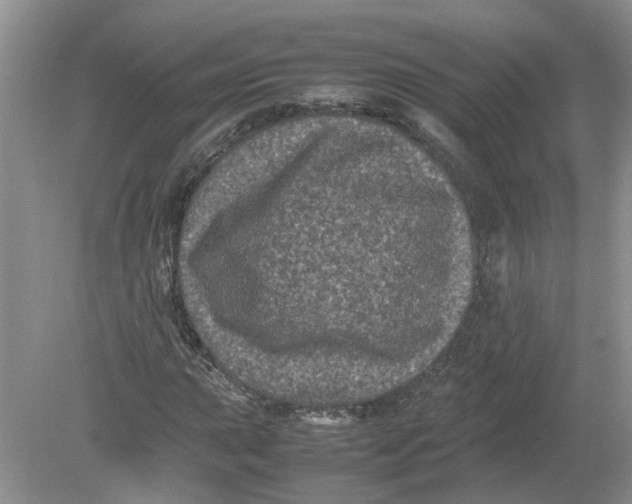 X0000078861015200612041926