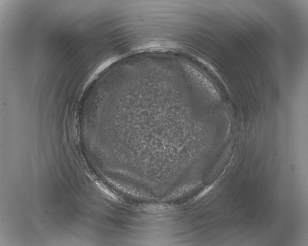 X0000078861018200612041926