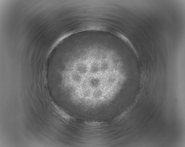 X0000078861019200612041926