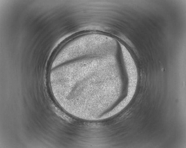 X0000078861020200612041926