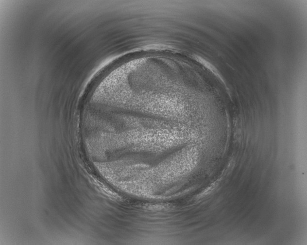 X0000078861021200612041926