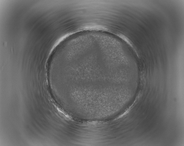 X0000078861022200612041926