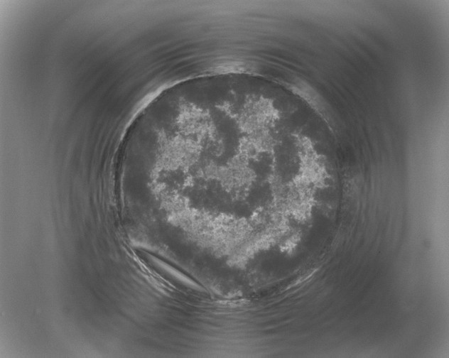 X0000078861023200612041926