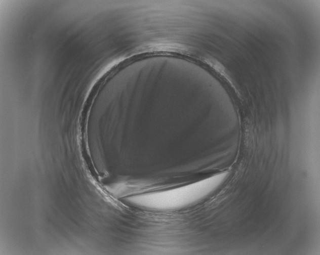 X0000078861024200612041926