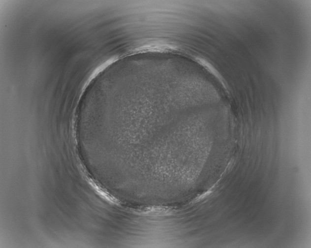 X0000078861026200612041927