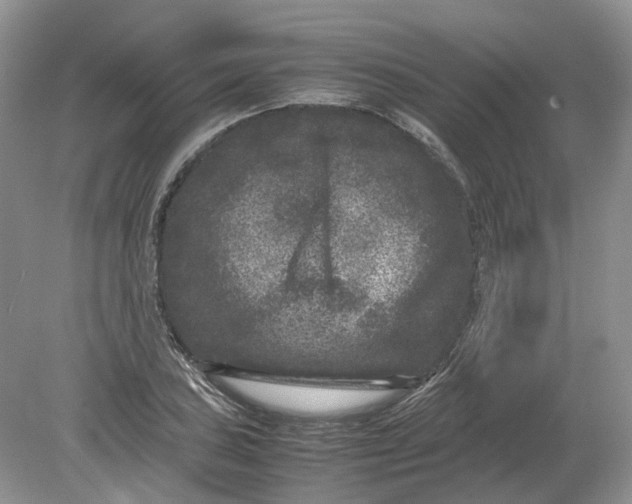 X0000078861027200612041927