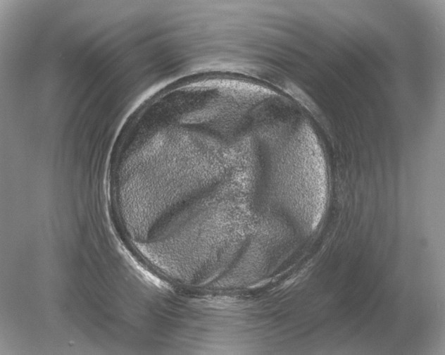 X0000078861028200612041927