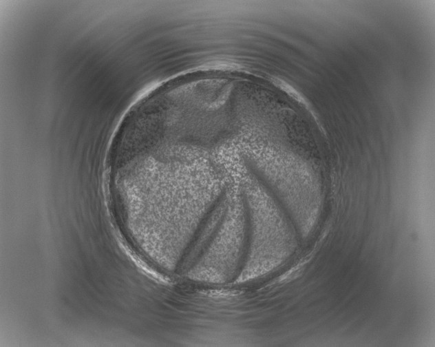 X0000078861029200612041927